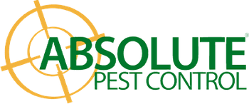 Absolute Pest Control logo
