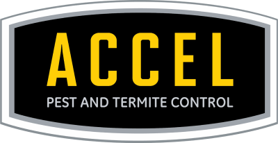 Accel Pest & Termite Control logo