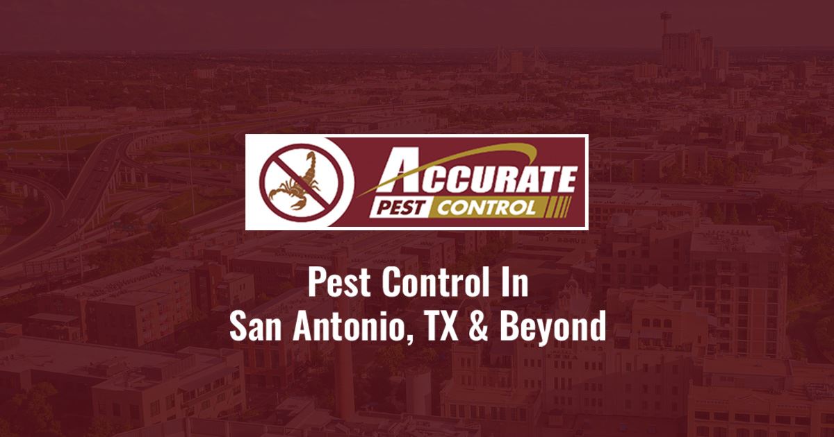 Accurate Pest Control logo