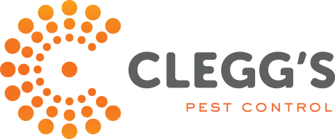 Clegg’s Termite & Pest Control - Raleigh logo