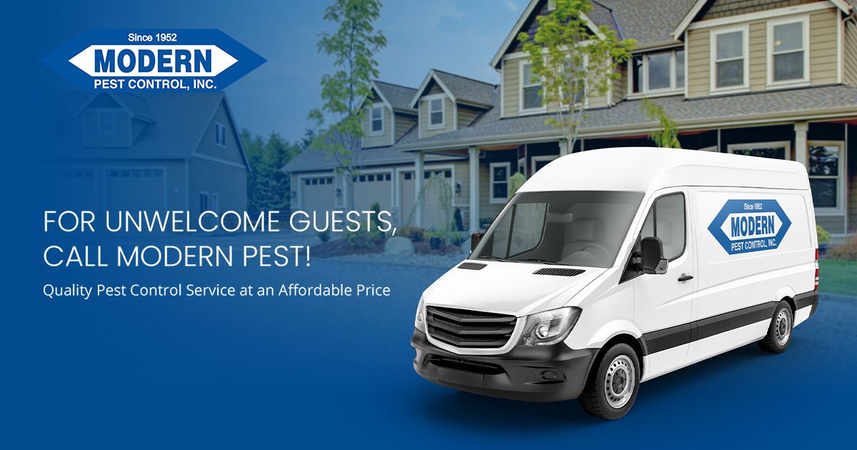 Modern Pest Control logo